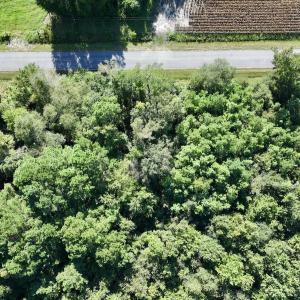 Photo #16 of SOLD property in Off Boss Mclawhorn Rd, Grifton, NC 25.2 acres