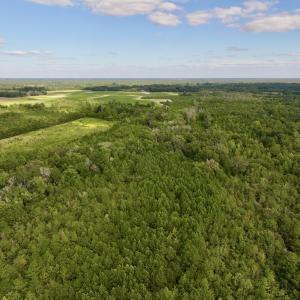 Photo #3 of SOLD property in Off Boss Mclawhorn Rd, Grifton, NC 25.2 acres