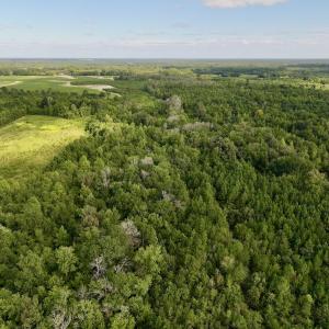 Photo #4 of SOLD property in Off Boss Mclawhorn Rd, Grifton, NC 25.2 acres