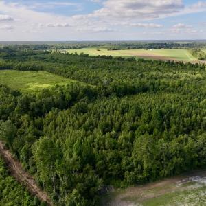 Photo #5 of SOLD property in Off Boss Mclawhorn Rd, Grifton, NC 25.2 acres