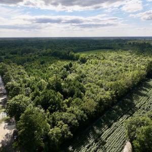 Photo #6 of SOLD property in Off Boss Mclawhorn Rd, Grifton, NC 25.2 acres