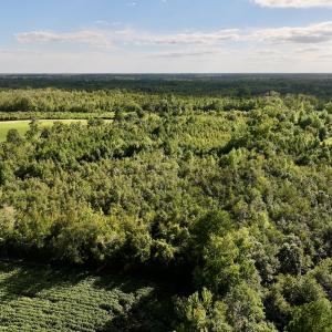 Photo #7 of SOLD property in Off Boss Mclawhorn Rd, Grifton, NC 25.2 acres