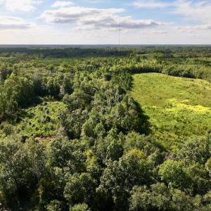 Photo #8 of SOLD property in Off Boss Mclawhorn Rd, Grifton, NC 25.2 acres