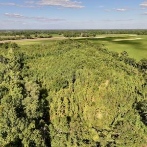 Photo #9 of SOLD property in Off Boss Mclawhorn Rd, Grifton, NC 25.2 acres
