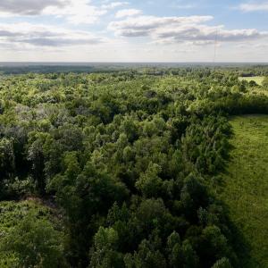 Photo #10 of SOLD property in Off Boss Mclawhorn Rd, Grifton, NC 25.2 acres