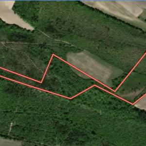 Photo #1 of SOLD property in Off Boss Mclawhorn Rd, Grifton, NC 25.2 acres