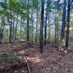 Photo #12 of SOLD property in 2995 Nelson Rd, Grifton, NC 8.0 acres