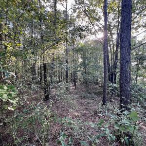 Photo #17 of SOLD property in 2995 Nelson Rd, Grifton, NC 8.0 acres