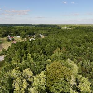 Photo #4 of SOLD property in 2995 Nelson Rd, Grifton, NC 8.0 acres