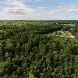 Photo #5 of SOLD property in 2995 Nelson Rd, Grifton, NC 8.0 acres