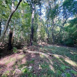 Photo #8 of SOLD property in 2995 Nelson Rd, Grifton, NC 8.0 acres