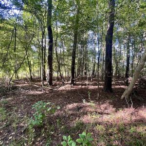 Photo #9 of SOLD property in 2995 Nelson Rd, Grifton, NC 8.0 acres