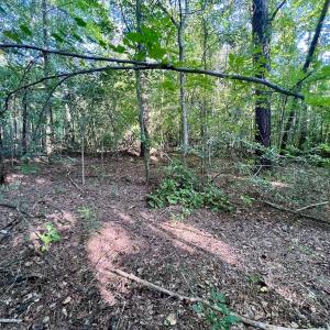 Photo #10 of SOLD property in 2995 Nelson Rd, Grifton, NC 8.0 acres