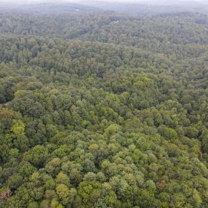 Photo #28 of SOLD property in 1566 Trenthill Dr, Bassett, VA 25.7 acres