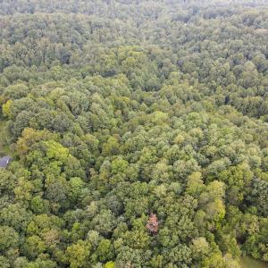 Photo #29 of SOLD property in 1566 Trenthill Dr, Bassett, VA 25.7 acres