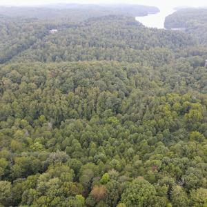Photo #30 of SOLD property in 1566 Trenthill Dr, Bassett, VA 25.7 acres