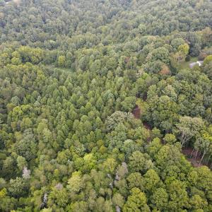 Photo #31 of SOLD property in 1566 Trenthill Dr, Bassett, VA 25.7 acres