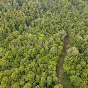 Photo #32 of SOLD property in 1566 Trenthill Dr, Bassett, VA 25.7 acres