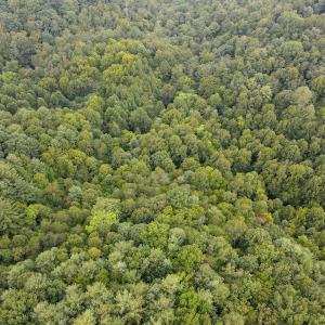 Photo #33 of SOLD property in 1566 Trenthill Dr, Bassett, VA 25.7 acres