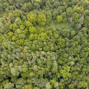 Photo #35 of SOLD property in 1566 Trenthill Dr, Bassett, VA 25.7 acres
