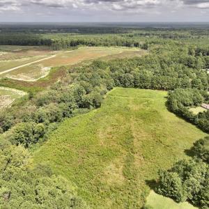 Photo #14 of SOLD property in Off Michele Road, Scotland Neck, NC 8.0 acres