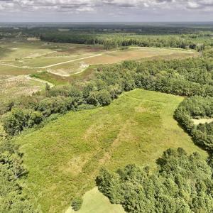 Photo #15 of SOLD property in Off Michele Road, Scotland Neck, NC 8.0 acres