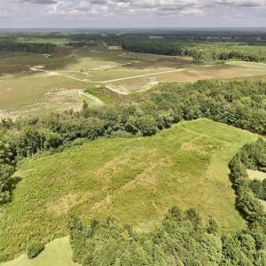 Photo #16 of SOLD property in Off Michele Road, Scotland Neck, NC 8.0 acres