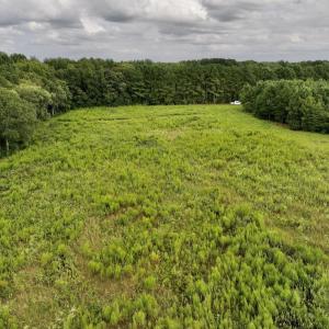 Photo #17 of SOLD property in Off Michele Road, Scotland Neck, NC 8.0 acres