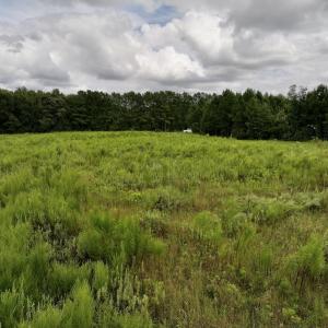 Photo #19 of SOLD property in Off Michele Road, Scotland Neck, NC 8.0 acres