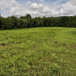 Photo #21 of SOLD property in Off Michele Road, Scotland Neck, NC 8.0 acres