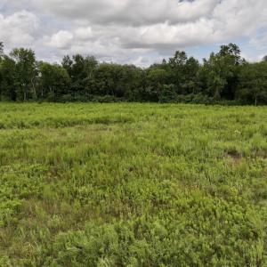 Photo #22 of SOLD property in Off Michele Road, Scotland Neck, NC 8.0 acres