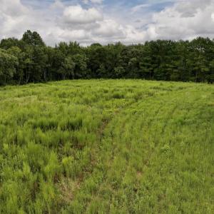 Photo #24 of SOLD property in Off Michele Road, Scotland Neck, NC 8.0 acres