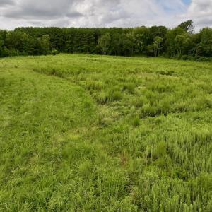 Photo #25 of SOLD property in Off Michele Road, Scotland Neck, NC 8.0 acres