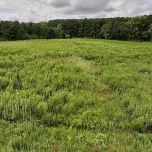 Photo #26 of SOLD property in Off Michele Road, Scotland Neck, NC 8.0 acres