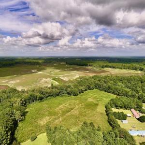 Photo #3 of SOLD property in Off Michele Road, Scotland Neck, NC 8.0 acres