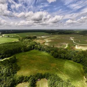 Photo #4 of SOLD property in Off Michele Road, Scotland Neck, NC 8.0 acres