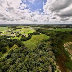 Photo #5 of SOLD property in Off Michele Road, Scotland Neck, NC 8.0 acres