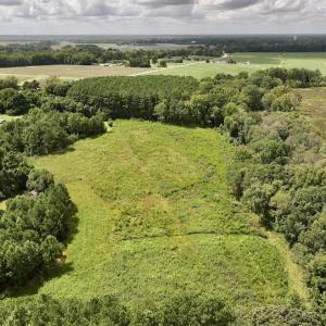 Photo #7 of SOLD property in Off Michele Road, Scotland Neck, NC 8.0 acres