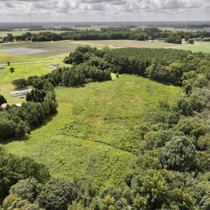 Photo #8 of SOLD property in Off Michele Road, Scotland Neck, NC 8.0 acres