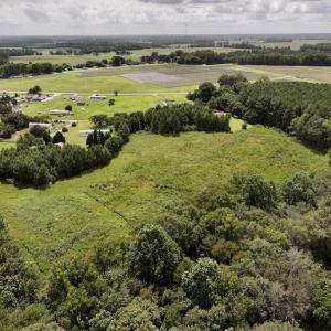 Photo #9 of SOLD property in Off Michele Road, Scotland Neck, NC 8.0 acres