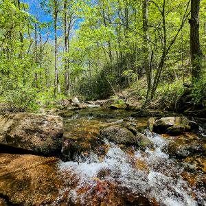 Photo #1 of Off Fire Trail Ln, Stuart, VA 585.0 acres