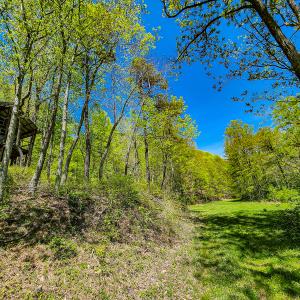 Photo #3 of Off Fire Trail Ln, Stuart, VA 585.0 acres