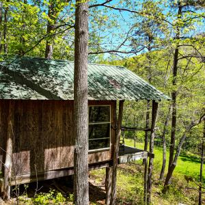 Photo #5 of Off Fire Trail Ln, Stuart, VA 585.0 acres
