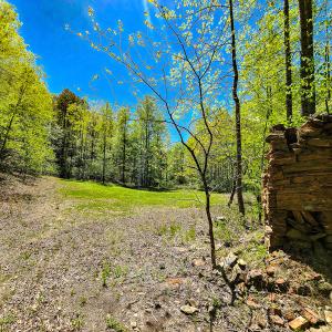 Photo #17 of Off Fire Trail Ln, Stuart, VA 585.0 acres