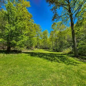Photo #21 of Off Fire Trail Ln, Stuart, VA 585.0 acres