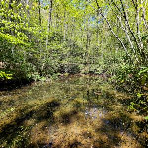 Photo #24 of Off Fire Trail Ln, Stuart, VA 585.0 acres
