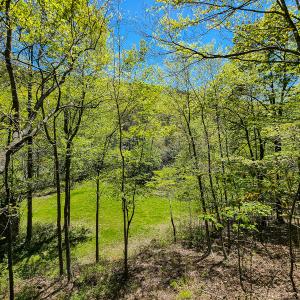Photo #25 of Off Fire Trail Ln, Stuart, VA 585.0 acres