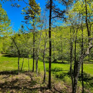 Photo #26 of Off Fire Trail Ln, Stuart, VA 585.0 acres