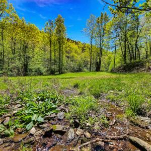 Photo #27 of Off Fire Trail Ln, Stuart, VA 585.0 acres