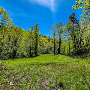 Photo #28 of Off Fire Trail Ln, Stuart, VA 585.0 acres